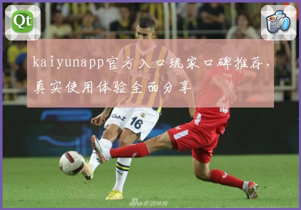 kaiyunapp官方入口玩家口碑推荐，真实使用体验全面分享