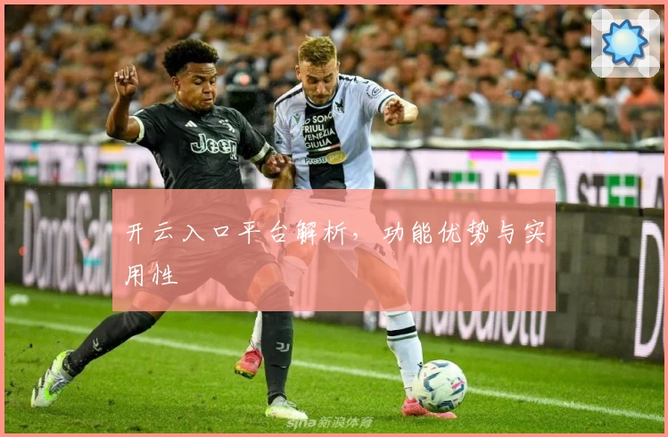 开云入口平台解析，功能优势与实用性
