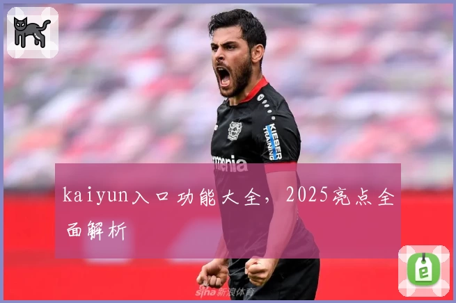 kaiyun入口功能大全，2025亮点全面解析
